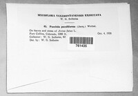 Image Associated With the Occurence
